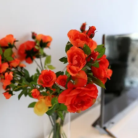 Appartement Summer Dreams