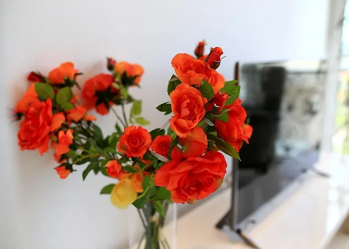 Apartment Summer Dreams